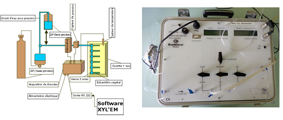 Figure3-Principe-XYLEM