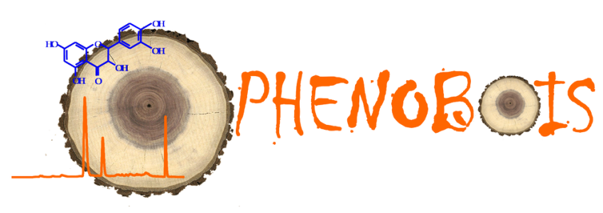 Logo-Phenobois