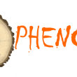 Logo-Phenobois